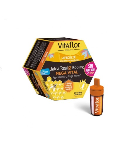 VITAFLOR MEGA VITAL JALEA REAL 20A